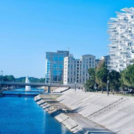 Appartement T2 A L'Arbre Blanc 몽펠리에 외부 사진