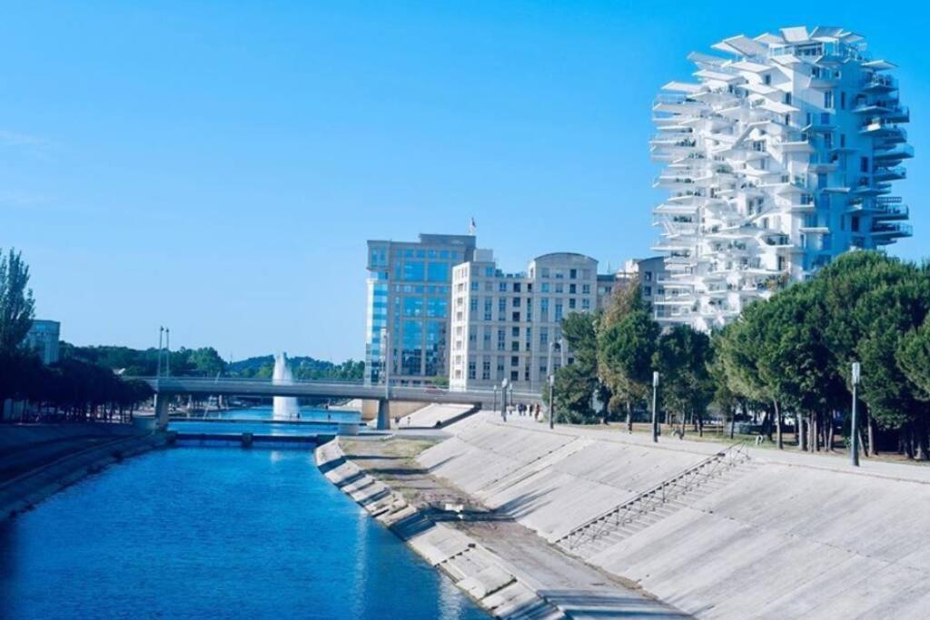 Appartement T2 A L'Arbre Blanc 몽펠리에 외부 사진
